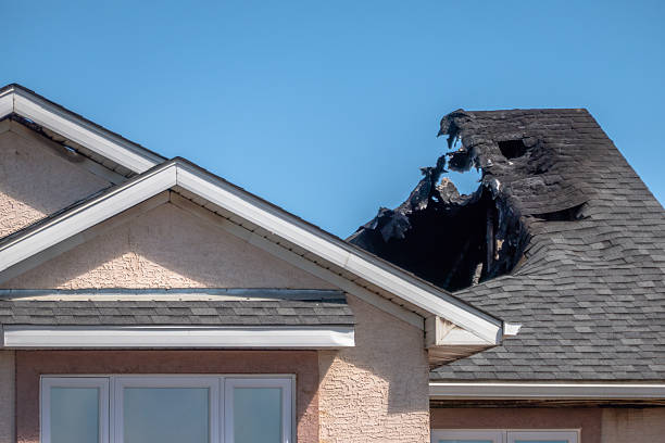 Top rated local Odor Removal specialists in Hatfield, PA